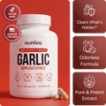 Odorless Garlic Extract Capsules